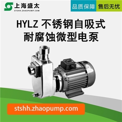 HYLZ不锈钢自吸式耐腐蚀微型电泵