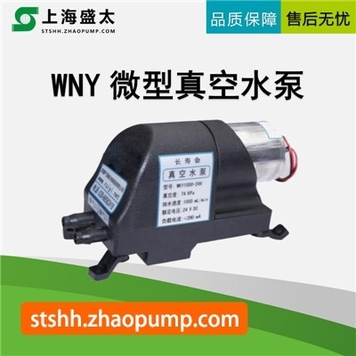 WNY微型真空水泵