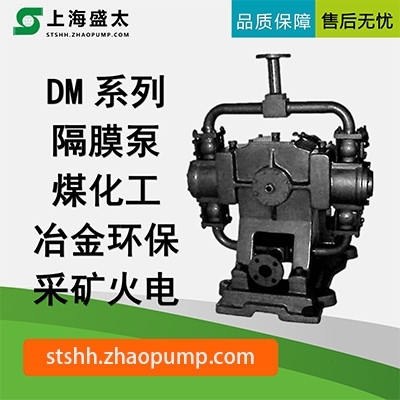 DM隔膜泵