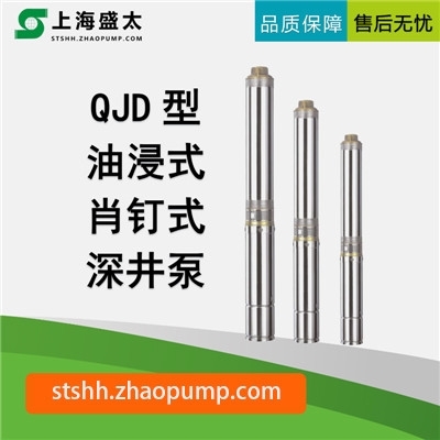QJD系列油浸肖钉式深井泵