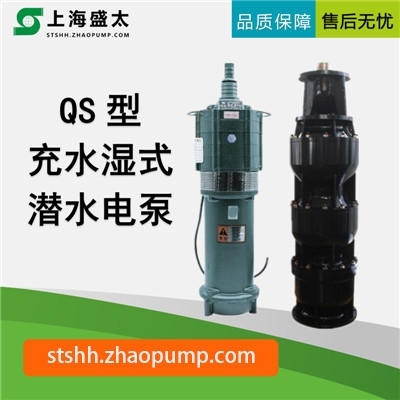 QS系列充水湿式潜水电泵