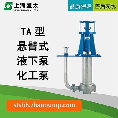 TA液下泵