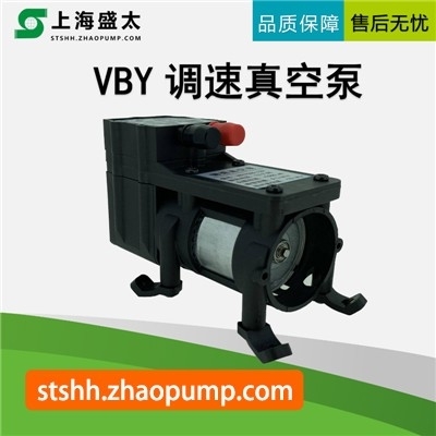 VBY调速真空泵