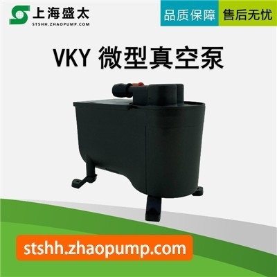 VKY微型真空泵