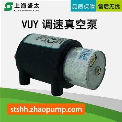 VUY微型调速真空泵